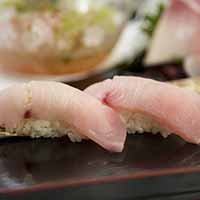 Hamachi (yellowtail)