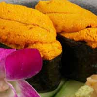 Uni (sea urchin)