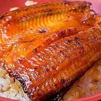 Unagi (grilled eel)